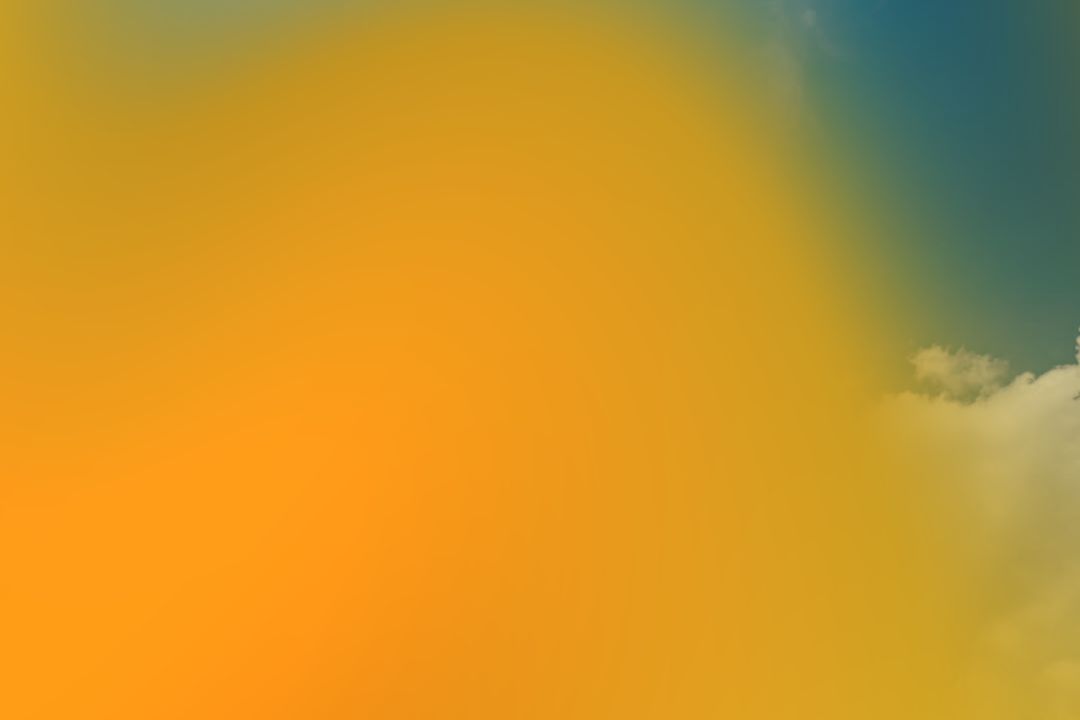light leak effect preview